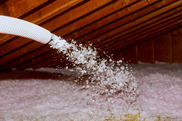 Types of Insulation We Offer in Ahwahnee, CA